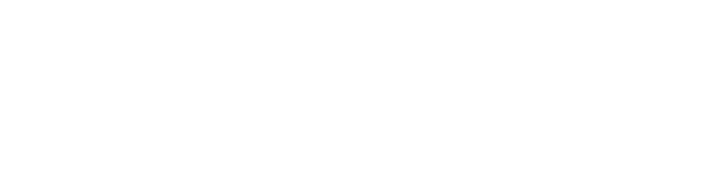 Boca Dental Group logo